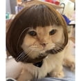 thumbnail image 4 of Funny Straight Pet Wig, Black Brown Cosplay Hair Wig for Dog Cat, Holiday Fancy Dress Costume, Halloween Christmas Party Photo Props, Suitable for Small Medium Large Dogs, 4 of 8