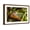 Brown Frame, variant on Art.com Red-Eyed Tree Frog Smile Photographic Print by Linas T, Black Frame Wall Art, 23" x 17"