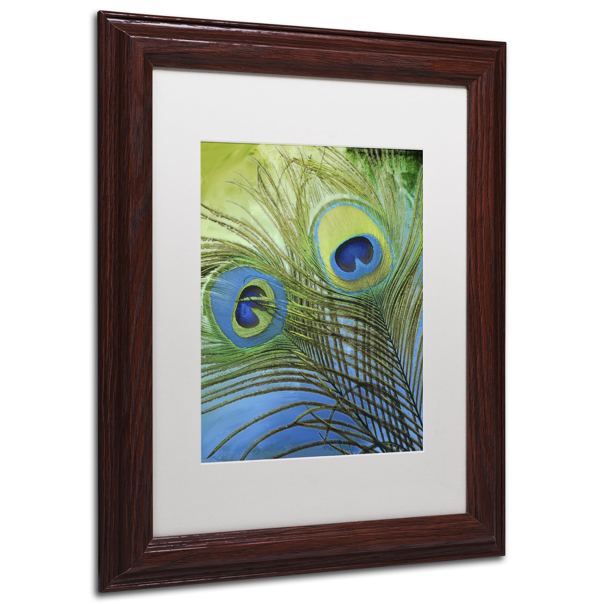 Trademark Fine Art 'Peacock Candy I' Matted Framed Art by Color Bakery