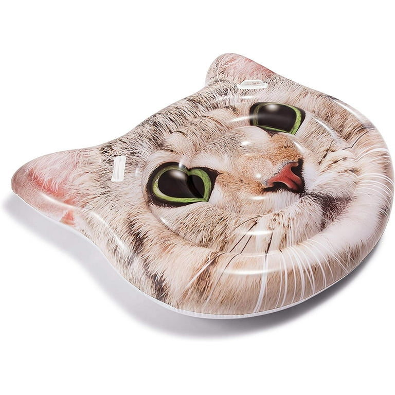 Cat Face Island Intex Floatie