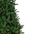 thumbnail image 4 of Northlight Clear Prelit Incandescent Green Hinged Pine Christmas Tree, 9', 4 of 7