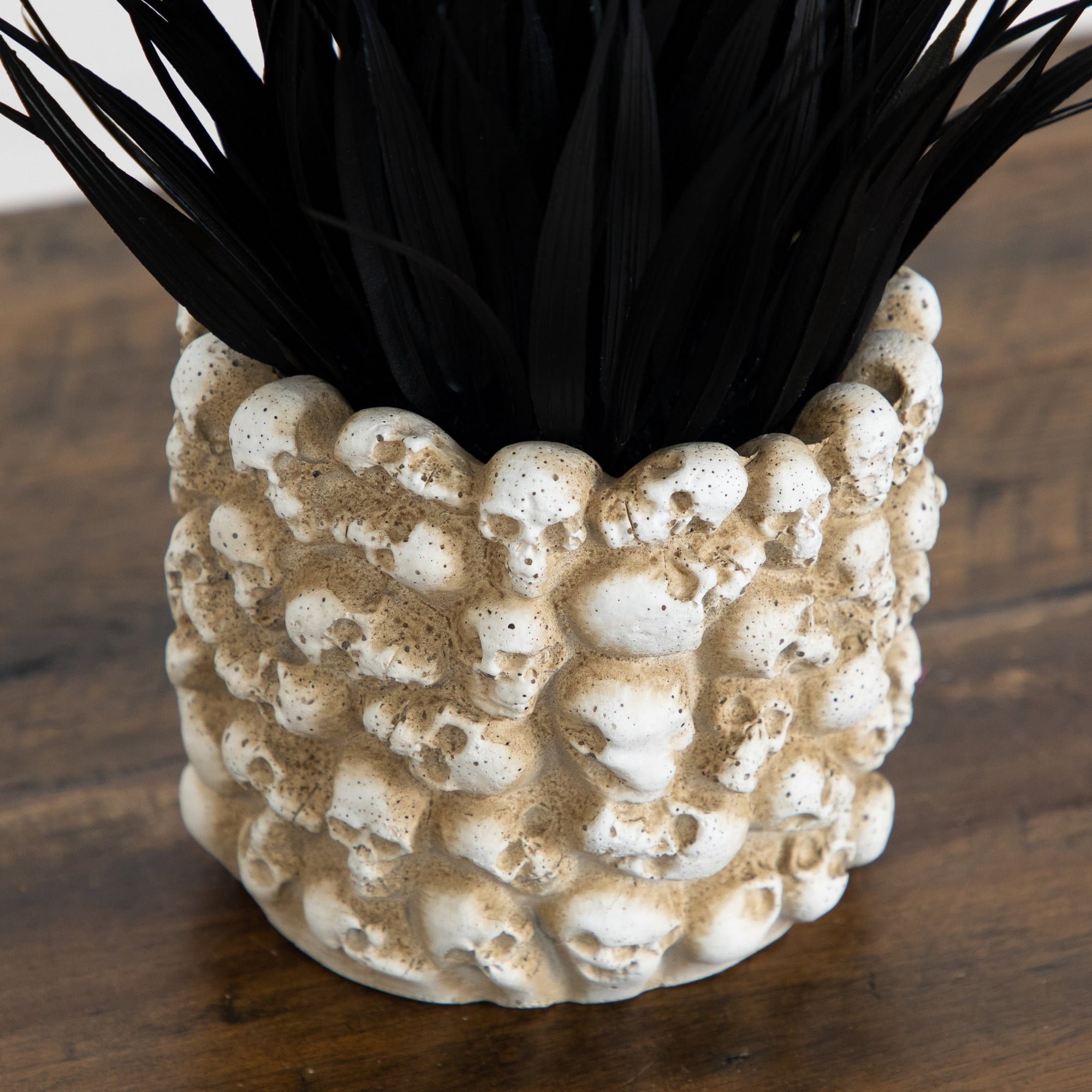 9in. Artificial Halloween Black Succulent Plant in Gothic Skull Planter