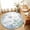 White, variant on Area Rugs 3'x5', Ocean Coral Carpet Runner Indoor Outdoor Rugs Home Decor Aesthetic, Summer Coastal Sea Starfish Conch Blue Green Non Slip Mats Washable Accent Rug for Living Room Bedroom