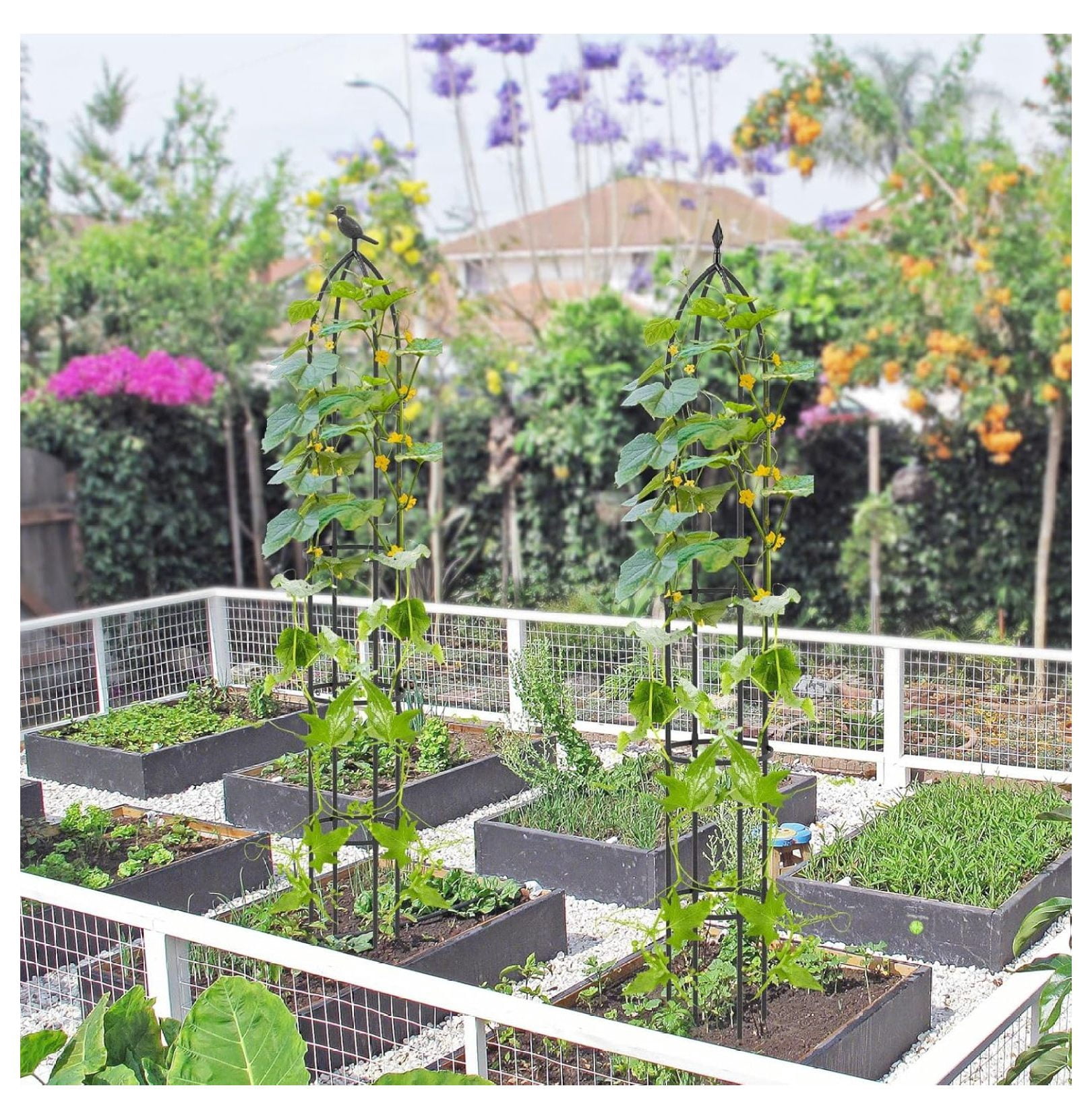 Garden Trellis for Climbing Plants, 78” Tall Metal Obelisk Trellis w/Adjustable Height, Gloves, Cable Ties, 2 in 1 Plant Cages & Supports for Flowers, Vegetables, Vines Indoor Outdoor