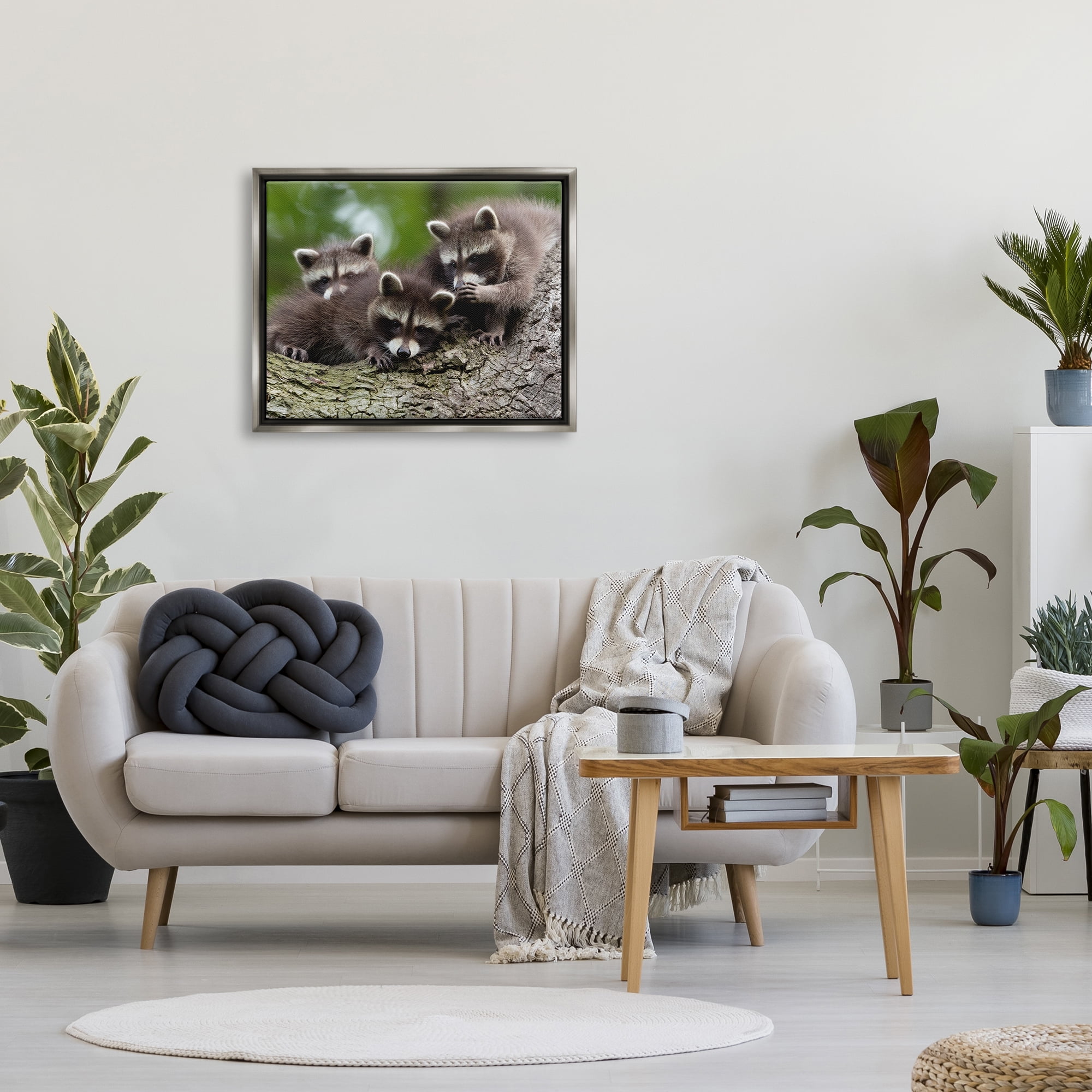 Stupell Industries Raccoon Babies in Tree Animals & Insects Photography Gray Floater Framed Canvas Art Print Wall Art, 31 x 25
