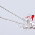 thumbnail image 4 of Feimier 100m 3.0mm Recoil Starting Rope Suitable For Chainsaws And Lawn Mowers Trimmers, 4 of 10