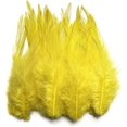 thumbnail image 1 of 100pcs Feather For Crafts, 1 of 1