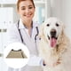thumbnail image 3 of Correa para el collar de cuidado de perros, 3 of 5