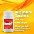 thumbnail image 4 of Herplex Premium Tablets | Helps Against Outbreaks & Cold Sores with No Side Effects | Helps to Quickly Ease & Reduce Symptoms of Cold Sore, & Fever Blisters | 60 Tablets, 4 of 7