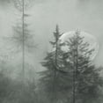 thumbnail image 4 of Yayeee Shower Curtain with Hooks 72"x72" Waterproof Fabric Bathroom Hanging Decor, Foggy Forest, 4 of 5