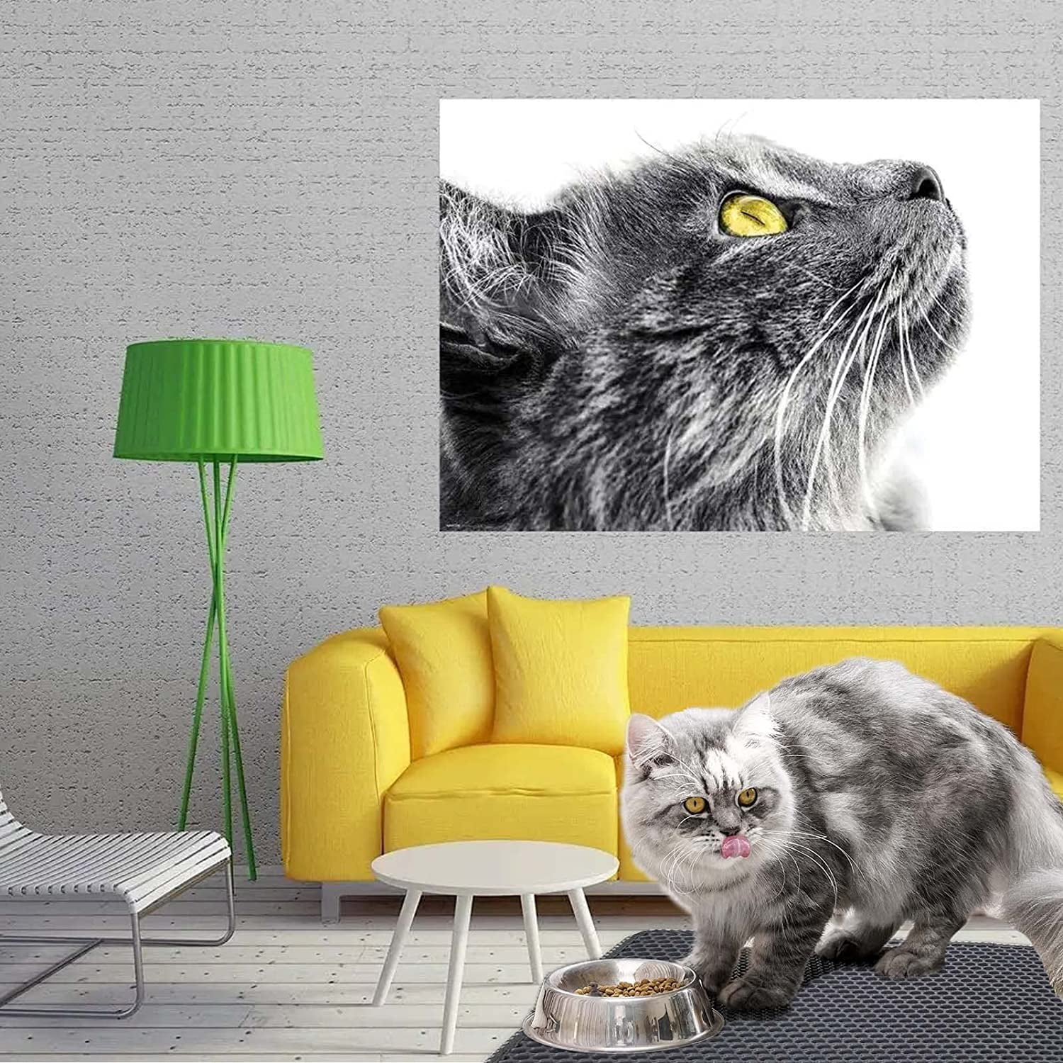 Cat Litter Catcher - MeowMats™