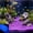 Purple, variant on Glow-in-the-Dark Aquarium Sand – Luminous Fish Tank Gravel Decorative Stones, Noctilucent Substrate for Bettas & Shrimp, 2000 Light-Absorbing Grains，Green
