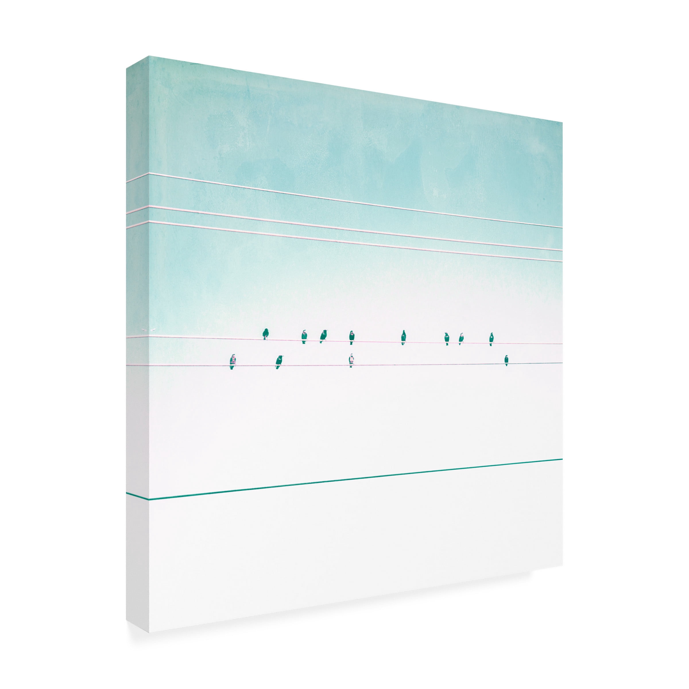 Thomas Brown 'Birds on Wires IV' Canvas Art