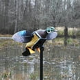 thumbnail image 5 of MOJO Outdoors Elite Series Woody Hunting Duck Decoy with Support Pole (4 Pack), 5 of 5