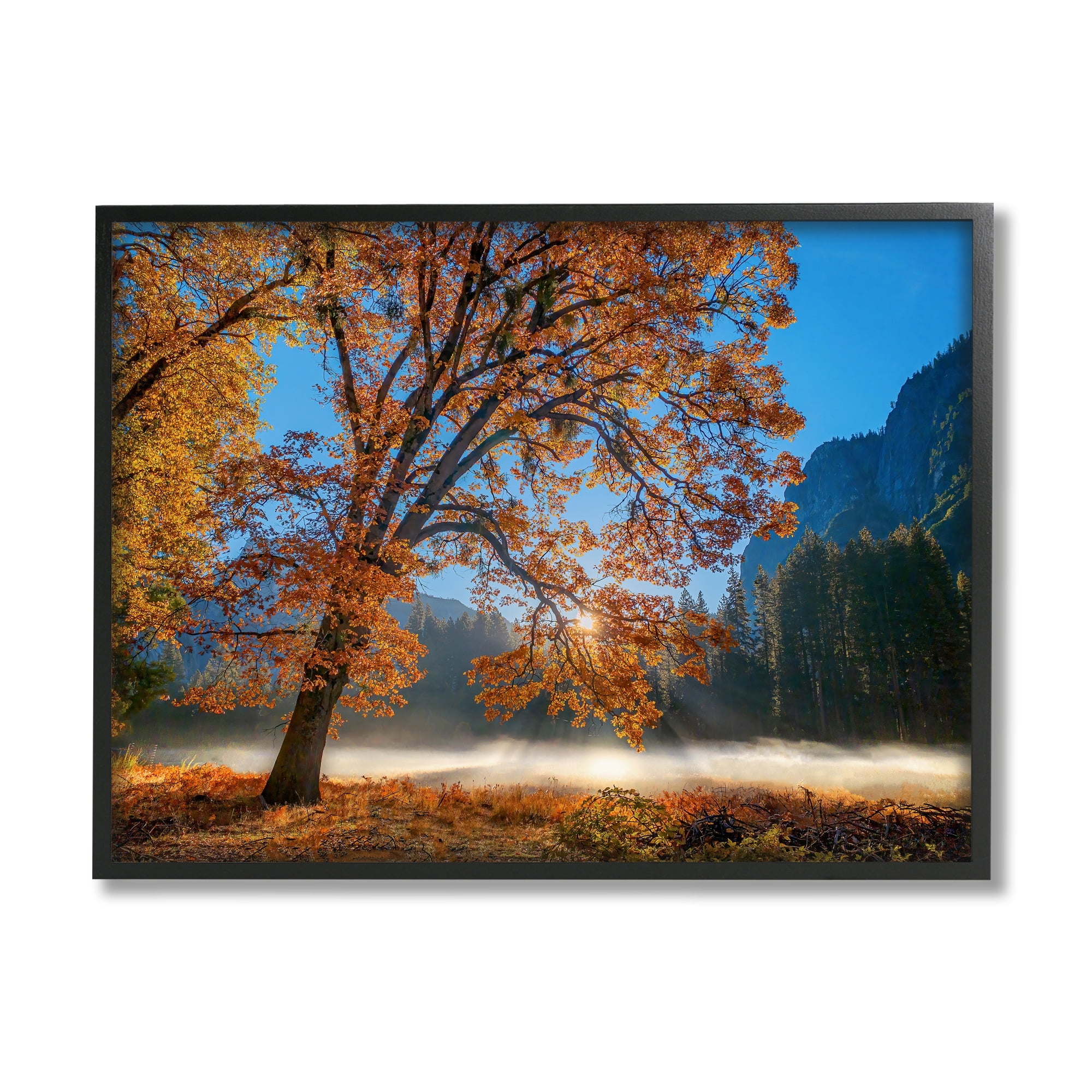 Stupell Industries Autumn Trees Foliage Beautiful Sun Rays Peeking Horizon Framed Wall Art, 14 x 11, Design by John Gavrilis