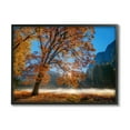 thumbnail image 2 of Stupell Industries Autumn Trees Foliage Beautiful Sun Rays Peeking Horizon Framed Wall Art, 30 x 24, Design by John Gavrilis, 2 of 5
