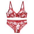 thumbnail image 1 of Conjunto de lencería para mujer Sujetador y bragas de encaje sexy Conjunto de lencería fina de verano Fridja nalpqowj39782, 1 of 8