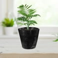 thumbnail image 1 of WHAMVOX 100pcs Planting Cup Black PE for Growing Plants in Simple Style, 1 of 8