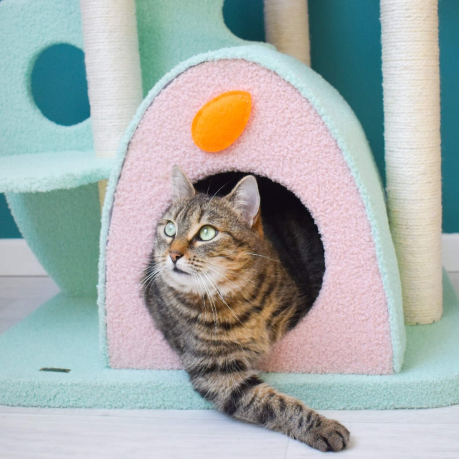 Happy & Polly Wonderland 58-in Plush Cat Tree & Condo, Jumbo