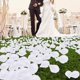 thumbnail image 4 of Pétalos de rosa 1000 piezas de pétalos de flores artificiales de seda, decoraciones navideñas para bodas, perfecto para noches románticas el día de San Valentín blanco, 4 of 7