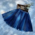thumbnail image 7 of Zwiiyzr 2025 2-12Y Girls High Waist Tulle Skirts A-Line Mesh Tutu Skirts Dress for Toddler Girl Blue, 7 of 7