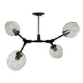 thumbnail image 1 of Artcraft Lighting Organic JA14024VB Semi Flush, 1 of 1
