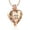 Rose, variant on Heart Urn Pendant for Ashes and Chain Cremation Jewelry for Ashes Urn Necklace Lockets for Human Ashes Pet Ashes Holder