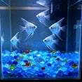 thumbnail image 5 of Ke1Clo Glow in The Dark Aquarium Pebbles, 100 Pcs Fluorescent Stones Substrate Decor, Luminous Aquascaping Gravel for Fish Tank Vase Gardening, Light Blue, 5 of 6