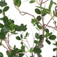 thumbnail image 5 of Noble House Bergweg 4' x 1.5' Artificial Leaf Tree, Green, 5 of 7
