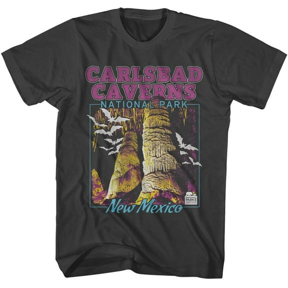 National Parks Carlsbad Caverns Smoke Adult T-Shirt