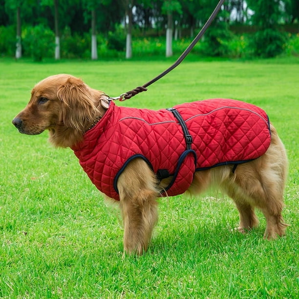Abrigo de invierno para perros: chaleco impermeable, aislante y reflectante del calor, chaqueta para la nieve, ajuste rápido, para razas pequeñas y grandes.