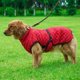 thumbnail image 1 of Abrigo de invierno para perros: chaleco impermeable, aislante y reflectante del calor, chaqueta para la nieve, ajuste rápido, para razas pequeñas y grandes., 1 of 6