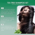 thumbnail image 3 of Tea Tree Shampoo - Deep Cleansing Shampoo - Relief for Dandruff and Dry Itchy Scalp - Nourishing The Scalp - Restoring Hair Damage 3.38 fl Oz, 3 of 5