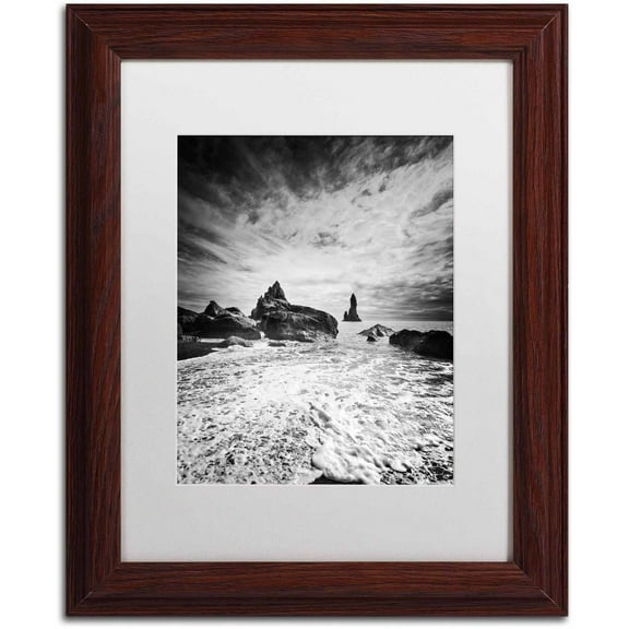 Trademark Fine Art 'Black Tip' Canvas Art by Philippe Sainte-Laudy, White Matte, Wood Frame