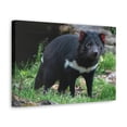 thumbnail image 2 of Majestic Tasmanian Devil Art Majestic Tasmanian Devil Print Animal Wall Art Wildlife Canvas Prints Wall Art Ready to Hang Unframed, 2 of 18