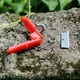 thumbnail image 3 of Herramienta de cuchillo para recoger con el pulgar para la cosecha de frutas y verduras | Pequeña podadora de guillotina para tomates, pepinos, té, fresas | Hoja de punta plástica | 1 pieza, 3 of 5