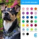 thumbnail image 5 of Blueberry Pet Essentials Collar Clásico Para Perro, 22 Colores, Verde Neón, Cuello Pequeño, Collares De Nailon De 12 A 16 Pulgadas Para Perros, 5 of 8