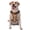 With Accessories, variant on Vsdgher Autumn Pumpkins Gingham Pattern Dog Harness,No Pull Pet Harness with Soft Padded Handle,Adjustable Reflective Vest with 2 Buckles,4 Slide Buckles,S-XL Small