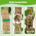 thumbnail image 6 of HOMEYA 4Pcs 28 inch Bendable Moss Pole for Monstera Climbing Plants Coir Plant Support Stick, 6 of 9