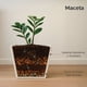 thumbnail image 2 of Maceta Cuadrada Elly Decor Clavel con Drenaje Color Blanco 30 x 30 cm, 2 of 6