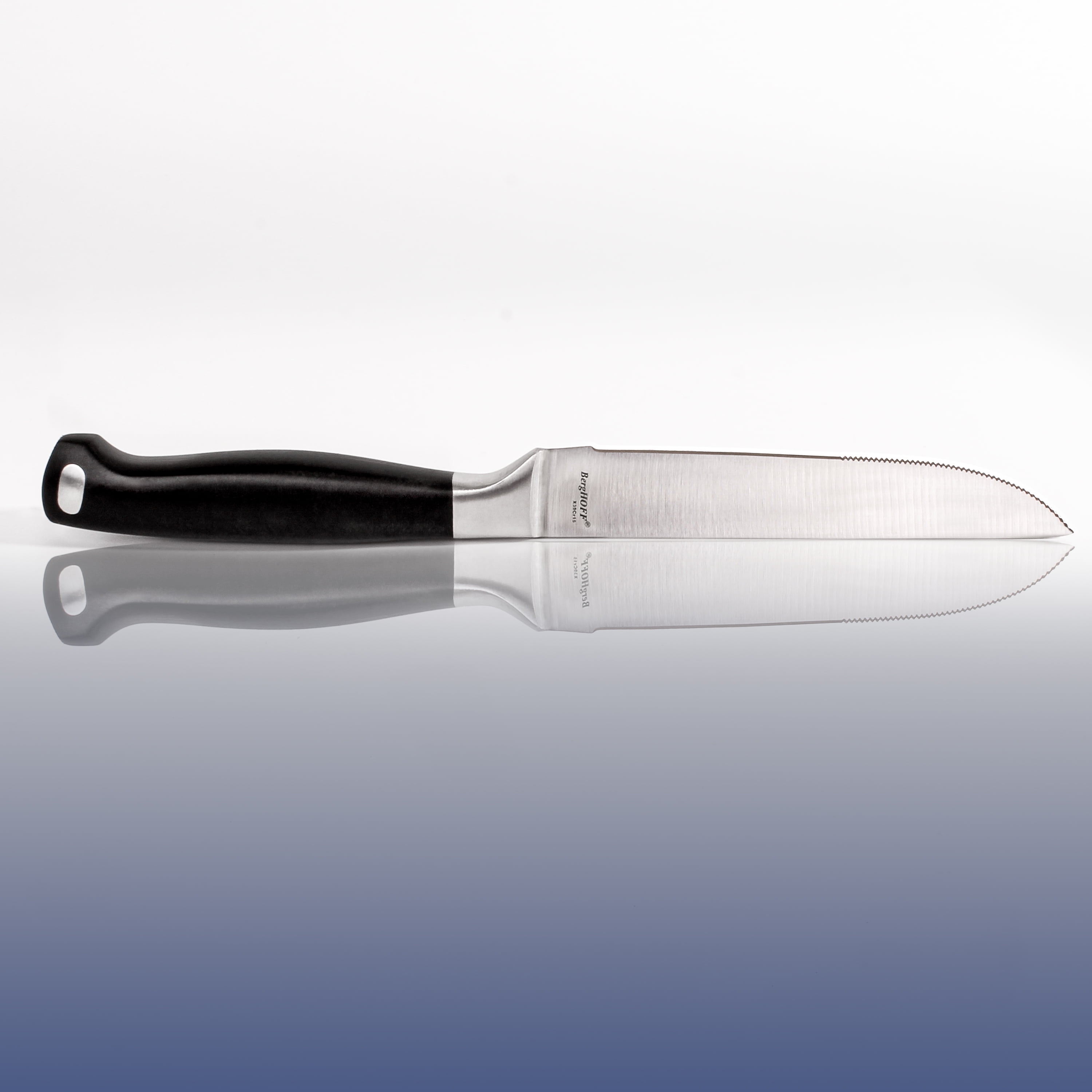 Berghoff Bistro 6 Stainless Steel Steak Knife, Set Of 6 : Target