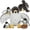 Falcon Families, variant on 10 Pack Farm Animal Plush Set Bulk Stuffed Farm Collection with Horse, Cow, Dog, Cat & More, Educational Playset Toys, Party Decor, Gifts for Christmas Valentine's Day Easter