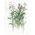thumbnail image 3 of Nai, Danhui 19x24 Black Modern Framed Museum Art Print Titled - Sprigs of June I White, 3 of 5