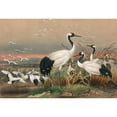 thumbnail image 2 of Joseph Wolf 18x14 Gold Ornate Wood Frame and Double Matted Museum Art Print Titled - The Mantchurian Crane (1861-1867), 2 of 4
