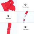 thumbnail image 3 of CRAFTHROU 2Pack Pet Bird Harness Adjustable in Nylon Red for Outdoor Flying Sessions, 3 of 4
