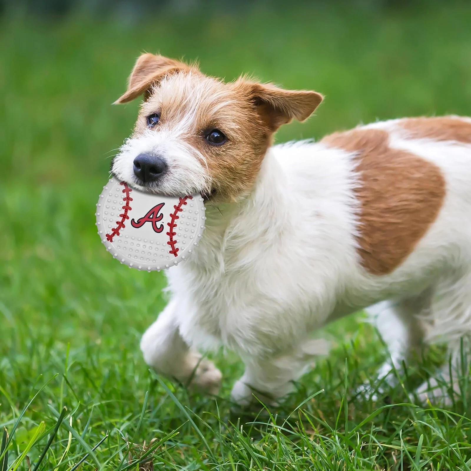 Pets First MLB Hard-Nylon Baseball Flavored Dog Chew Toys for Aggressive Chewers