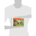 thumbnail image 2 of Caterpillar to Butterfly, 2 of 2