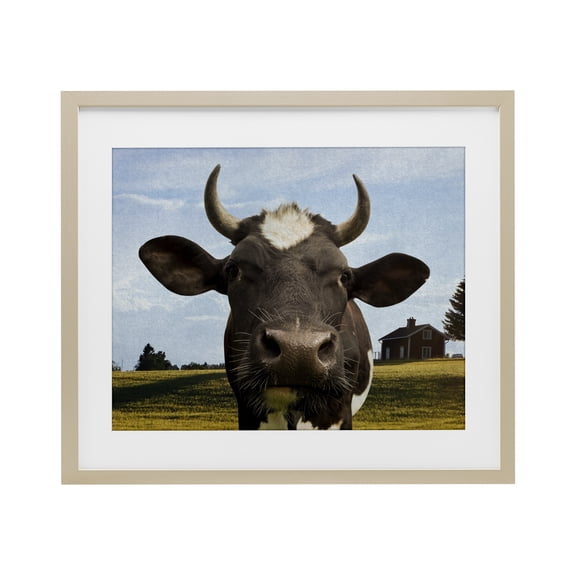 Stupell Industries Rustic Lodge Farm Cow with Curved Horns Birch Framed Print Under Glass, 16 x 13, by Marcus Prime