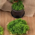 thumbnail image 6 of CIYISON 150g Fake Green Moss for Potted Plant Table Centerpieces, 6 of 18