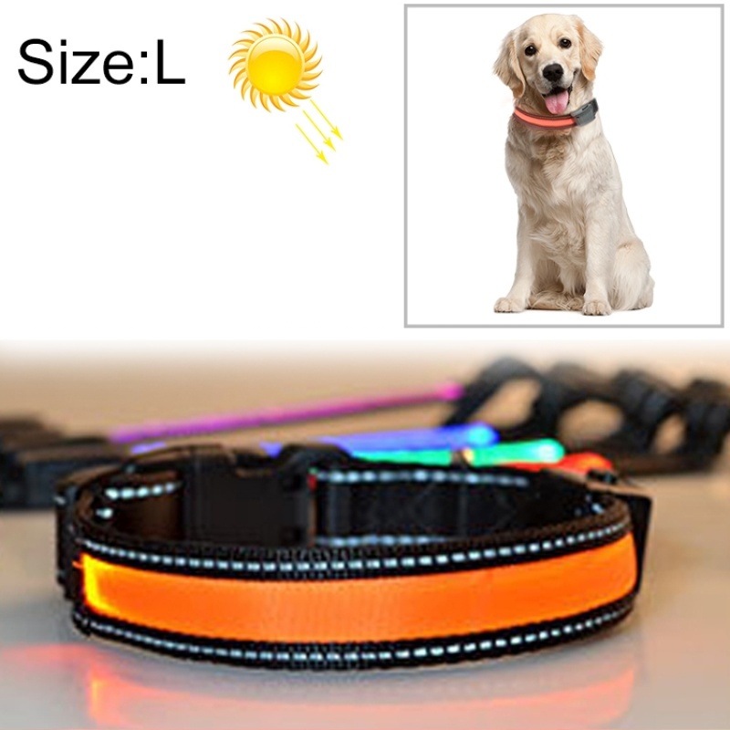light up dog leash walmart